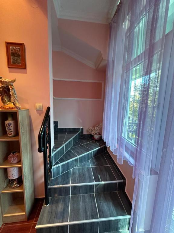 Adel'S Daire Subotica Dış mekan fotoğraf